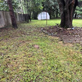 Cleanups by Getyourlawncut.com reviewed on June 10, 2022