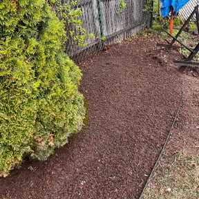 Leaf Removal by Clean The Green Lawncare reviewed on July 29, 2022