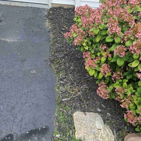 Flower Bed Weeding by T.R. Integrated Services reviewed on June 20, 2022