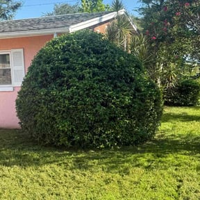 Bush Trimming by Becker Landscaping reviewed on February 9, 2024