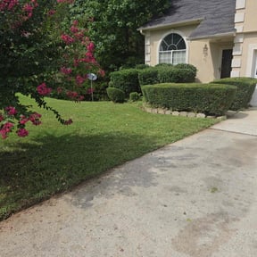 Bush Trimming by Supreme Lawn Care and Junk Removal reviewed on February 17, 2025