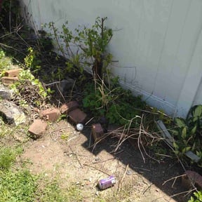Bush Trimming by Segura lawncare reviewed on April 24, 2022