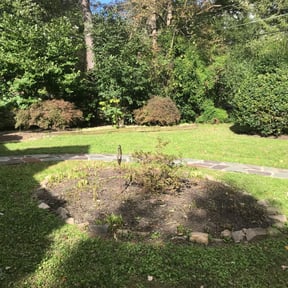 Cleanups by Longview lawns and Land scaping LLC reviewed on May 18, 2022