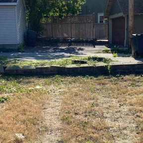 Bush Trimming by Lawn and Labor Services reviewed on April 4, 2022