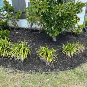Flower Bed Weeding by EP Remodeling LLC reviewed on October 17, 2024