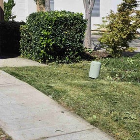 Bush Trimming by Kountrys Lawn Care reviewed on June 4, 2022