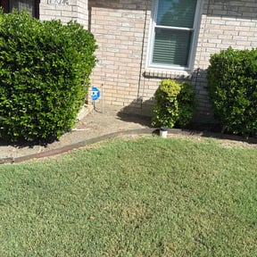 Flower Bed Weeding by Lewis Lawn Service reviewed on July 17, 2022