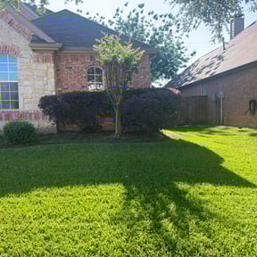 Bush Trimming by Sun's Lawn Care LLC. reviewed on April 26, 2022