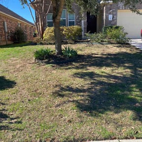 Flower Bed Weeding by Top Gun Cleaners reviewed on November 1, 2024
