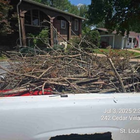 Cleanups by All About It services reviewed on July 23, 2025