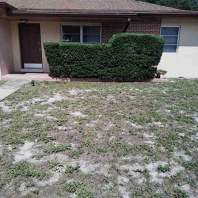 Bush Trimming by LISKO LAWNCARE AND TRASH REMOVAL LLC reviewed on August 7, 2022