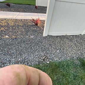 Weed Pulling by BOs Custom Lawns LLC reviewed on April 24, 2025