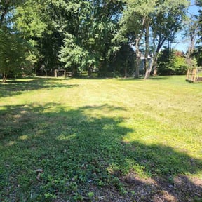 Cleanups by Pure Perfection Lawn care reviewed on July 17, 2021