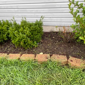 Weeding by Ivy reviewed on July 12, 2022