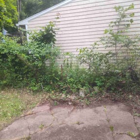 Cleanups by Leos lawns reviewed on May 27, 2022