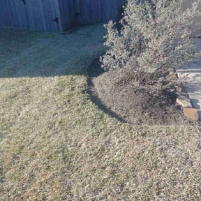 Flower Bed Weeding by Paul and Paul lawn service and landscaping reviewed on May 4, 2025