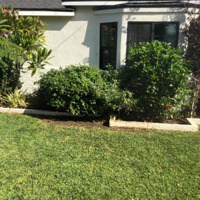Bush Trimming by Sbm reviewed on December 17, 2024