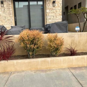 Flower Bed Weeding by WhackyWeedWhackers Of Paradise reviewed on February 24, 2025