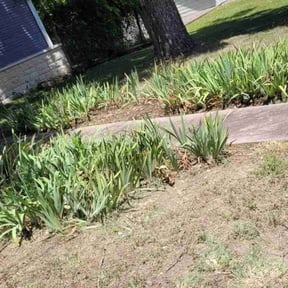 Cleanups by LSLTAustin/SanAntonioEmerald reviewed on August 17, 2024