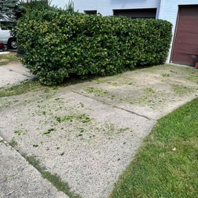 Bush Trimming by Scott Lawncare reviewed on May 22, 2022
