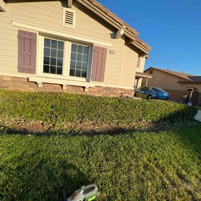 Bush Trimming by Fosters lawn and aeration LLC reviewed on October 26, 2024