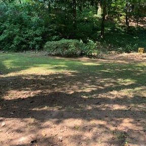 Bush Trimming by HPS Lawn Care reviewed on April 2, 2025