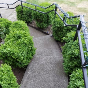 Flower Bed Weeding by TruGreen LawnCare reviewed on September 5, 2024