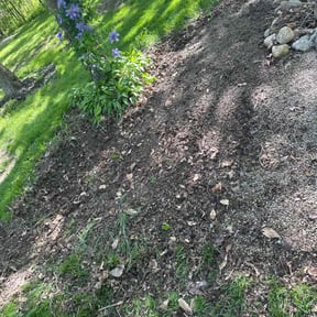 Cleanups by Ike’s Lawn & Yard Services reviewed on July 12, 2025