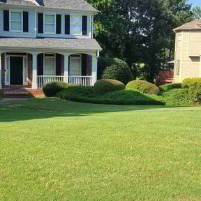 Bush Trimming by Mahan lawn care reviewed on July 12, 2022