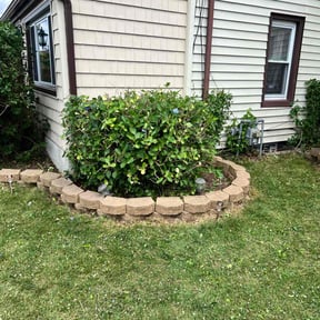 Bush Trimming by Supreme Home Services reviewed on June 18, 2022