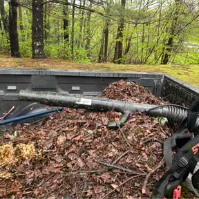 Leaf Removal by Stephens Lawn Care reviewed on June 28, 2022