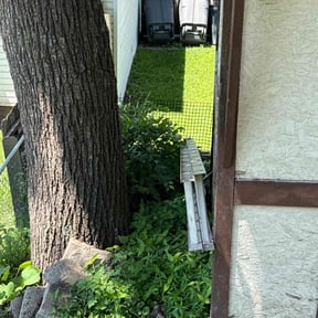 Bush Trimming by We Mow Omaha reviewed on June 23, 2024