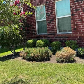 Bush Trimming by Big City Lawn Care LLC reviewed on March 21, 2020