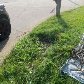 Cleanups by Clean green mowing and power washing reviewed on October 19, 2022