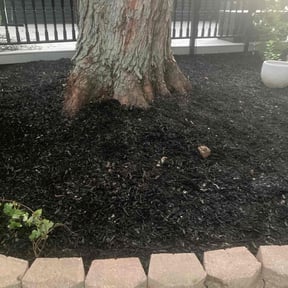Mulching by C&L landscaping reviewed on June 8, 2022