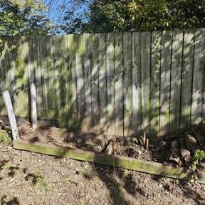 Cleanups by Affordable Lawncare Co. reviewed on May 24, 2025
