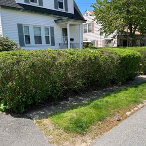 Bush Trimming by Marquez landscape reviewed on February 17, 2022