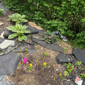 Flower Bed Weeding by J and M Lawn Service and More LLC reviewed on November 9, 2021