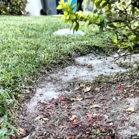 Flower Bed Weeding by RTH Lawn Service & Landscaping LLC reviewed on July 6, 2025