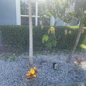 Bush Trimming by Monarch Landscaping reviewed on April 18, 2022