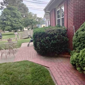 Leaf Removal by ST. JAMES PROFESSIONAL SERVICES GROUP LLC reviewed on September 22, 2024