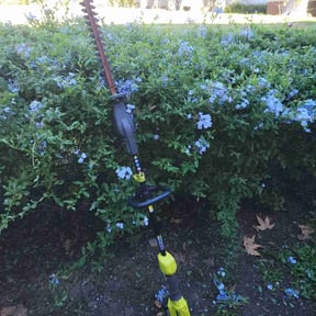 Flower Bed Weeding by Lawn Brothers reviewed on July 7, 2022