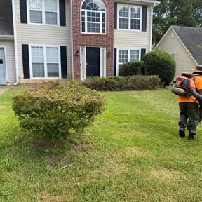 Bush Trimming by Edge True Cut reviewed on October 19, 2022