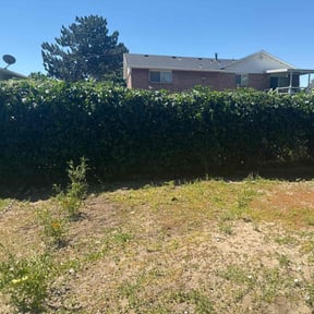 Bush Trimming by Rucker’s Lawn Care reviewed on April 24, 2022