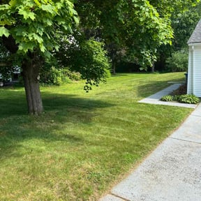 Flower Bed Weeding by Lawn Junkie reviewed on May 5, 2022