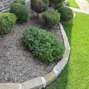 Flower Bed Weeding by Tru reviewed on August 9, 2022