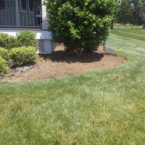 Flower Bed Weeding by Petronius reviewed on September 30, 2021