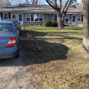 Leaf Removal by Tilcco reviewed on June 3, 2022