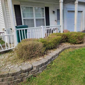 Bush Trimming by Yanez Brothers Landscaping reviewed on May 31, 2025