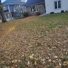 Leaf Removal by Gregg's Lawn Care reviewed on November 9, 2024
